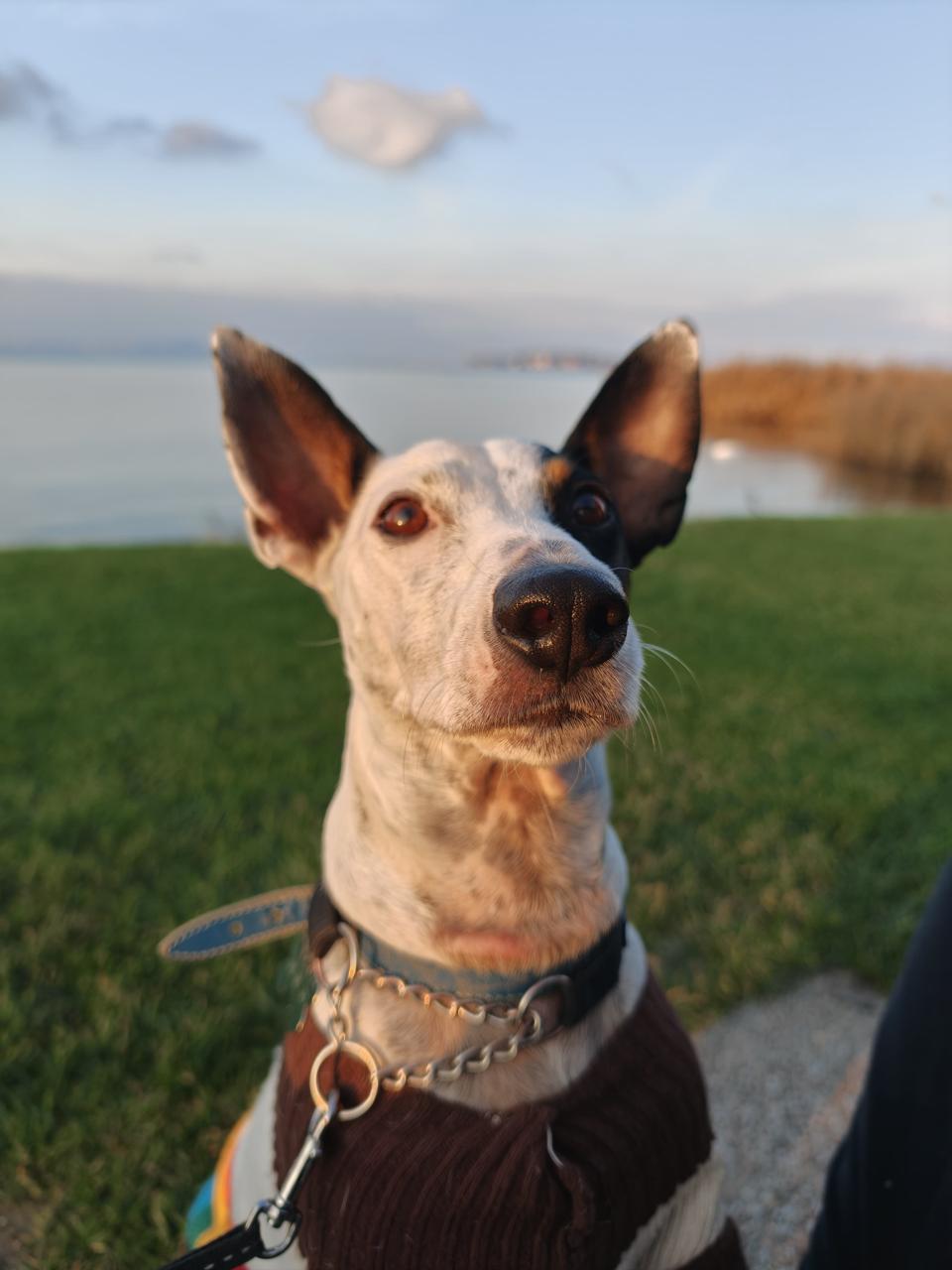 The bodeguero posing by the lake at sunset